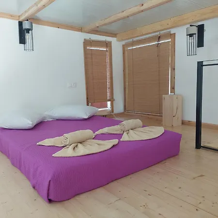 Gruene Haus * Afión